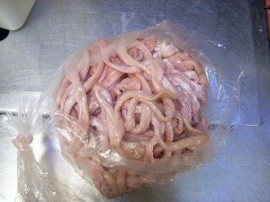 pig intestines